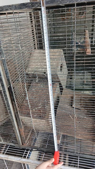 2 METAL CAGES FOR urgent  SALE
