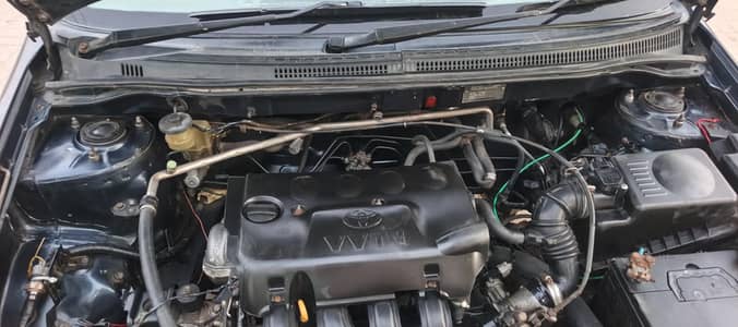 Gli urgant for sale