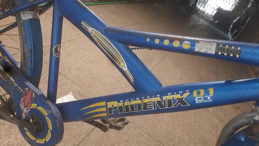 phoenix