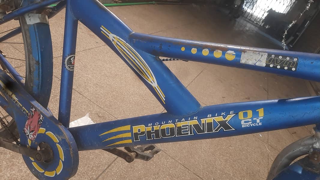 phoenix 0