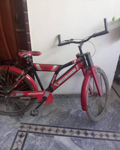 Bicycle Excellent condition, original tyres