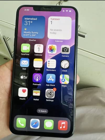 Apple iPhone XS Max