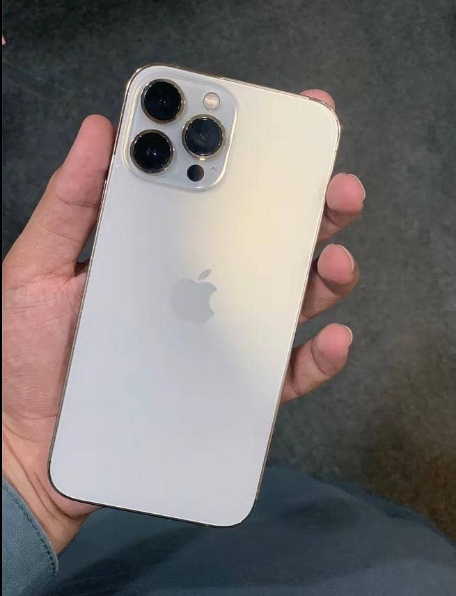 Apple iPhone 13 Pro Max 0