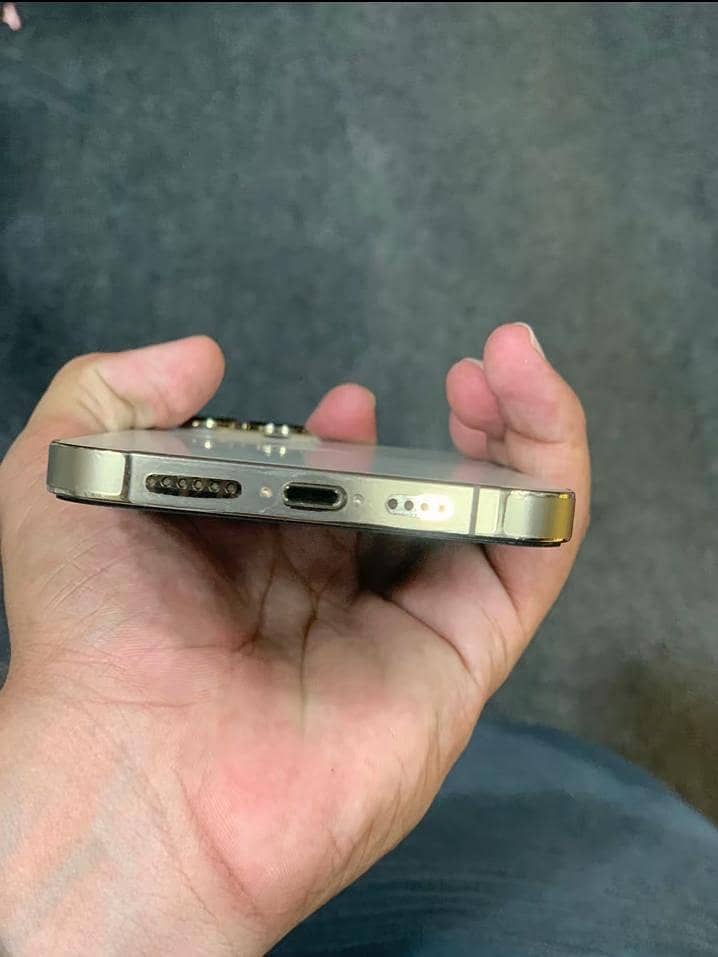 Apple iPhone 13 Pro Max 3