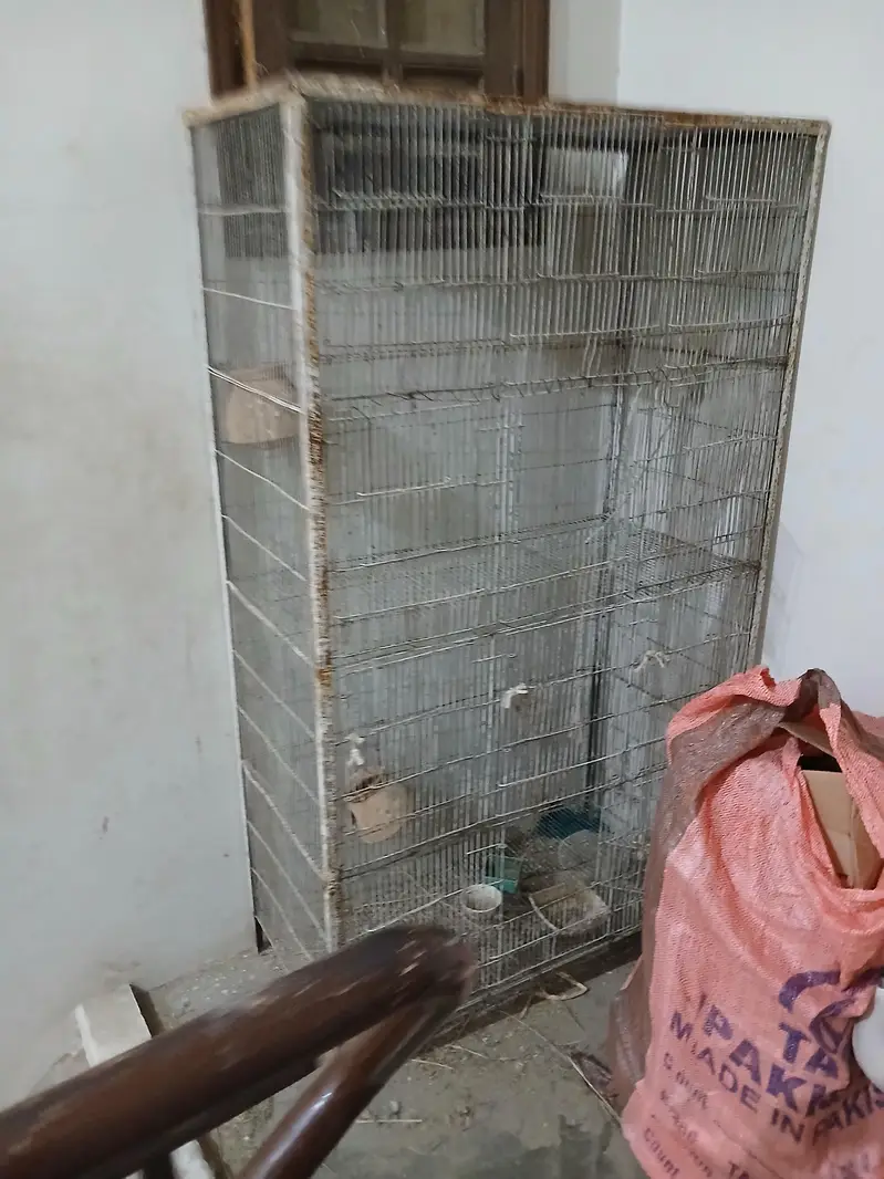 cage for birds — photo 2