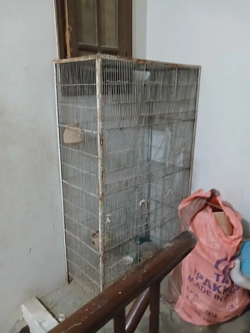 cage for birds — photo 3