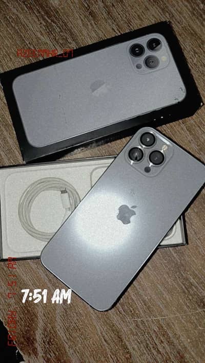 Apple iPhone 13 Pro Max