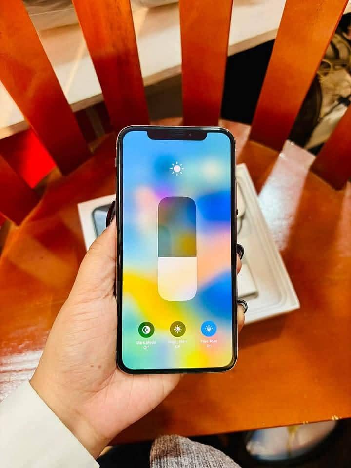 Apple iPhone X 1