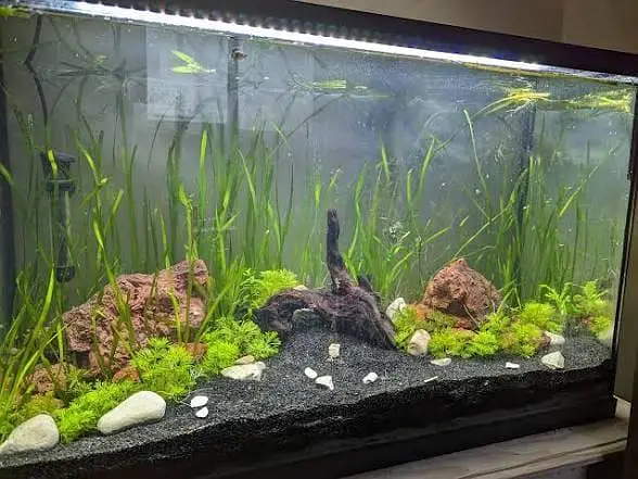 Big discount offer Fish & aquarium 03104016778 — photo 8