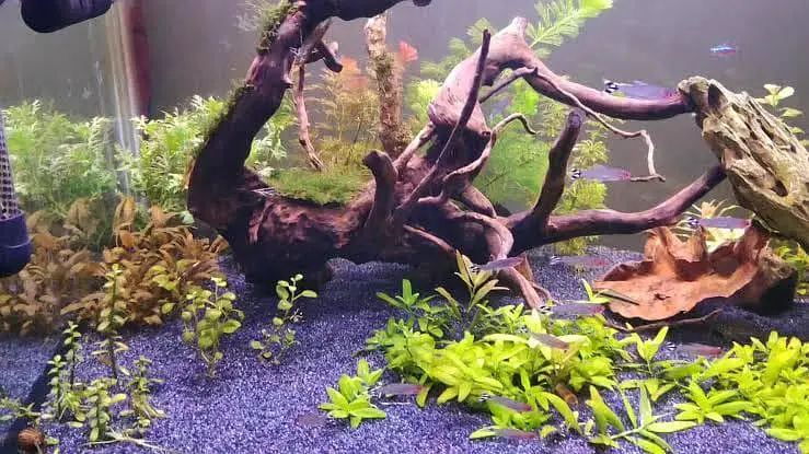 Big discount offer Fish & aquarium 03104016778 — photo 9