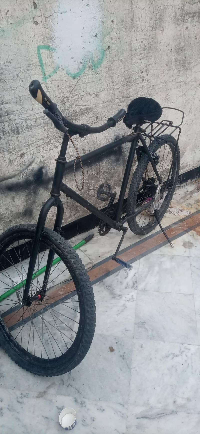 phonix cycle 1