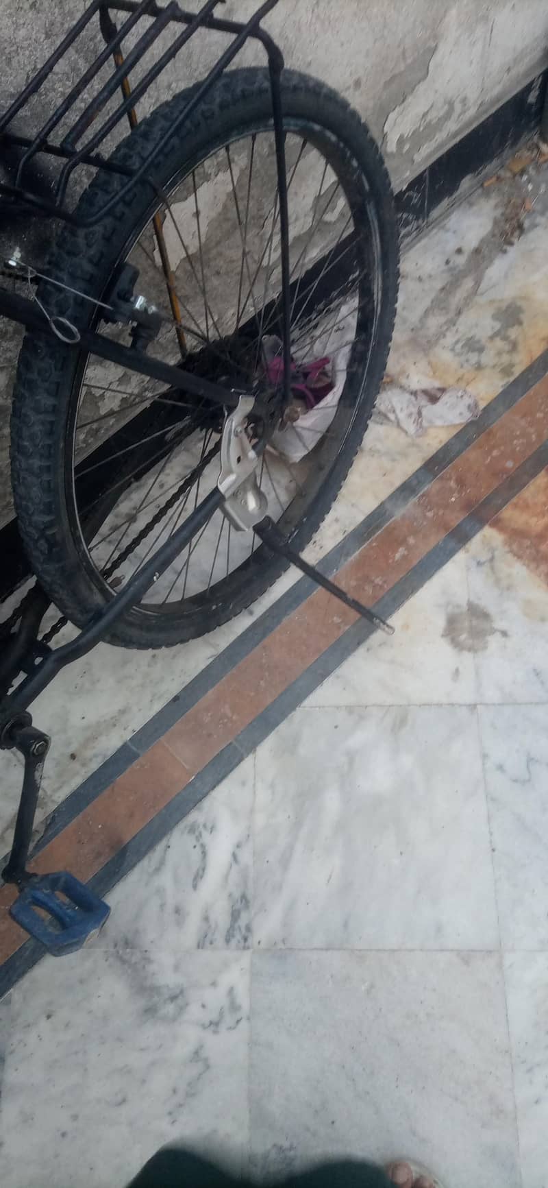 phonix cycle 2