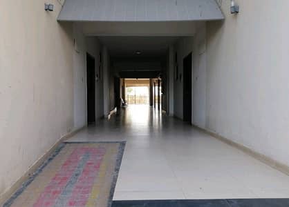 Askari 11 - Sector B Apartments Flat For rent Sized 12 Marla