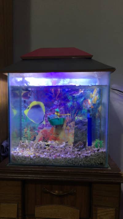 Aqurium for sell