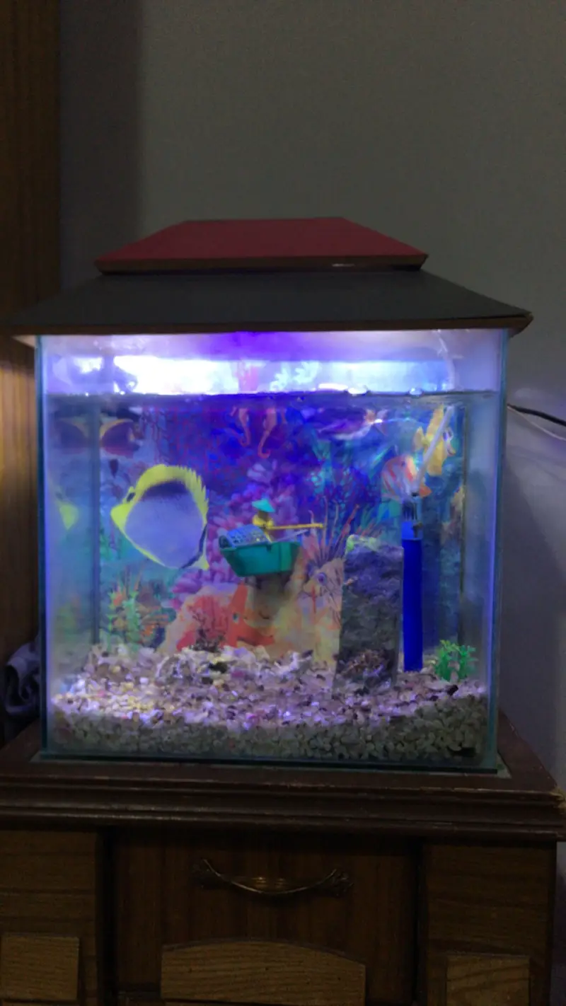Aqurium for sell