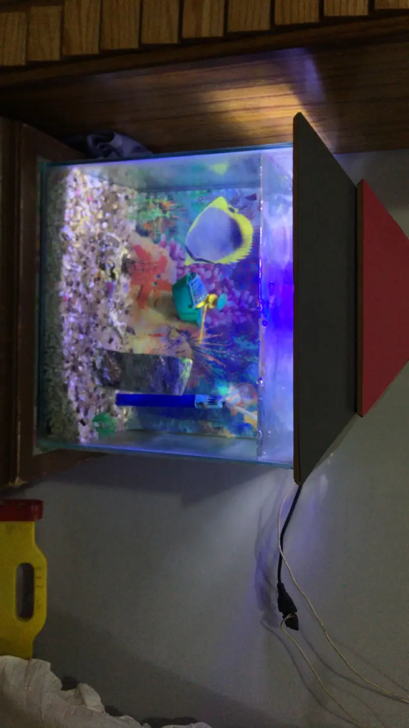 Aqurium for sell — photo 3