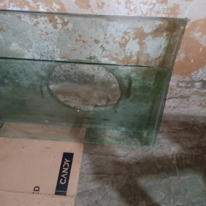 mirror door 3