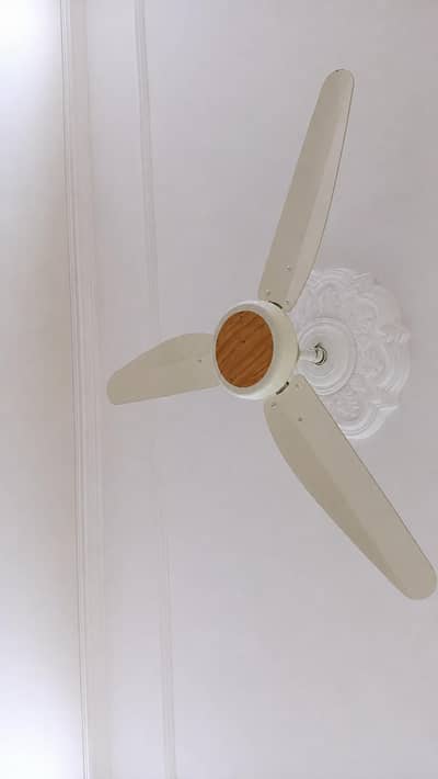 ceiling fan in a good condition