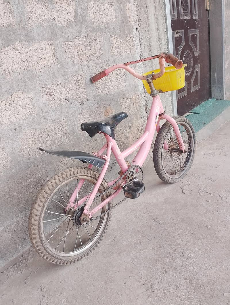 16 inch Cycle. 0