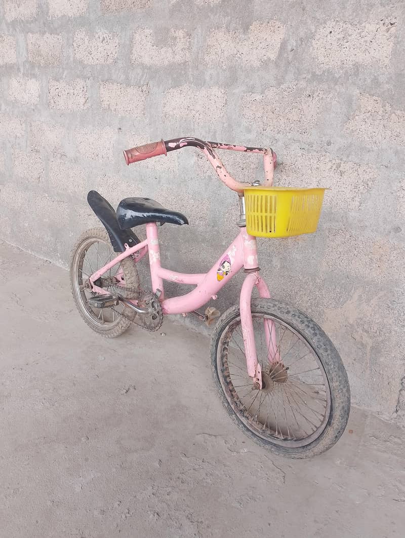 16 inch Cycle. 1