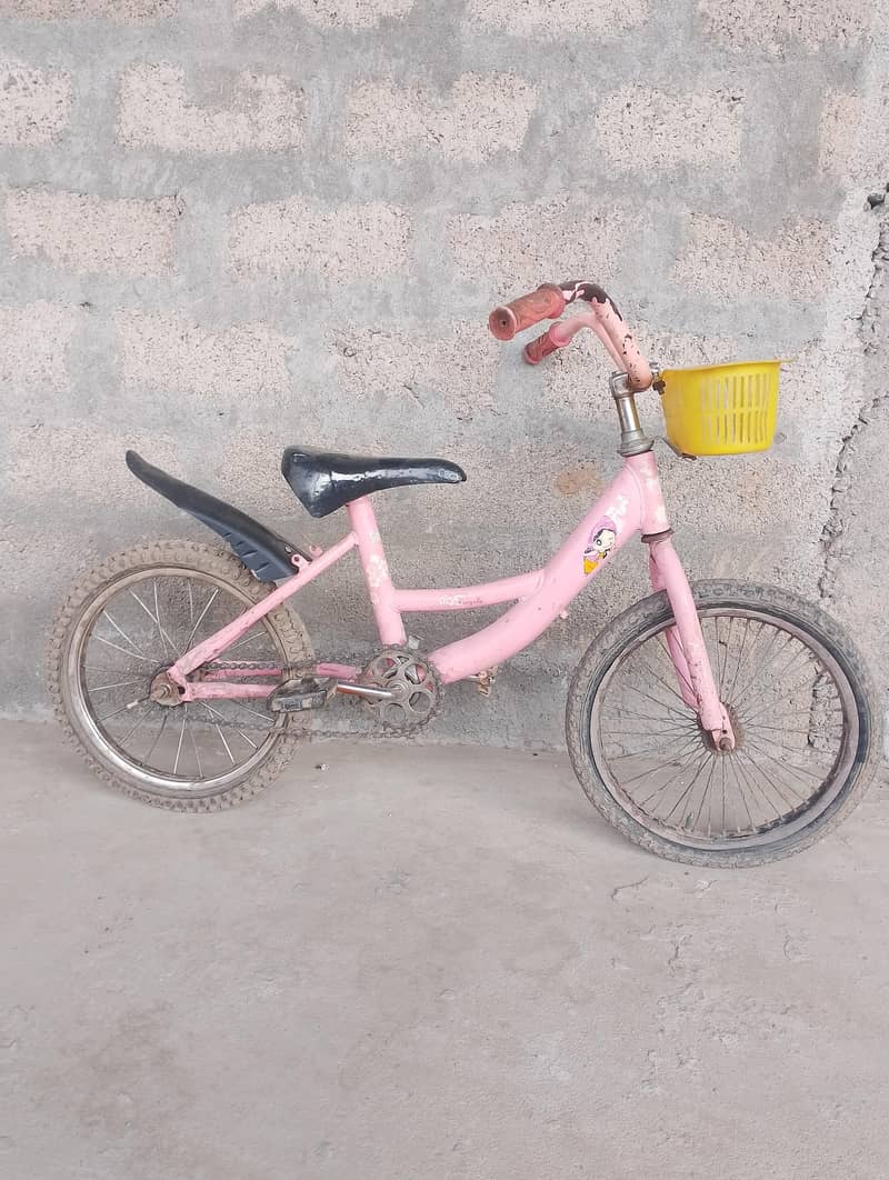 16 inch Cycle. 2