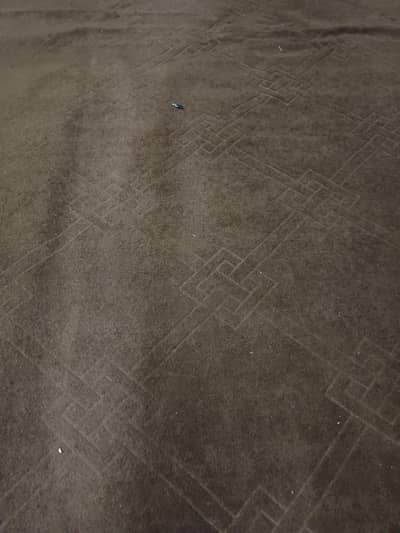 carpet