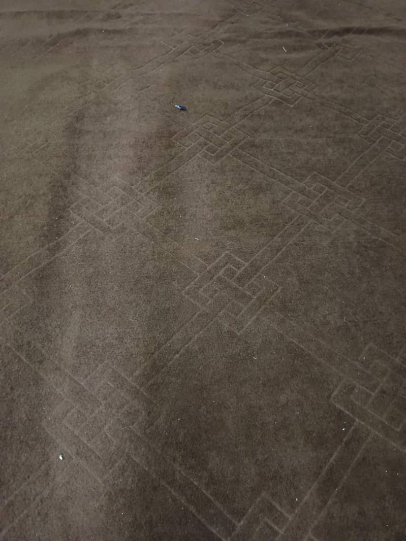 carpet 0