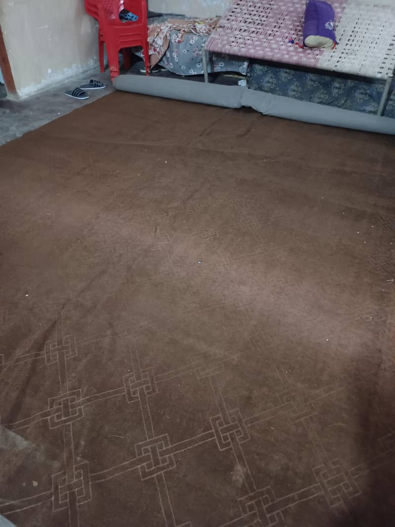 carpet 1