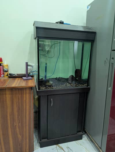 Aquarium, Fish