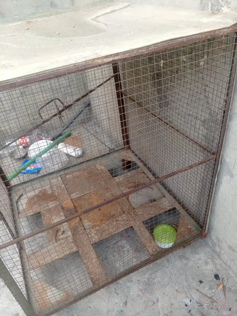 condition apka samny hai only paint kr la new ho jy ga — photo 3