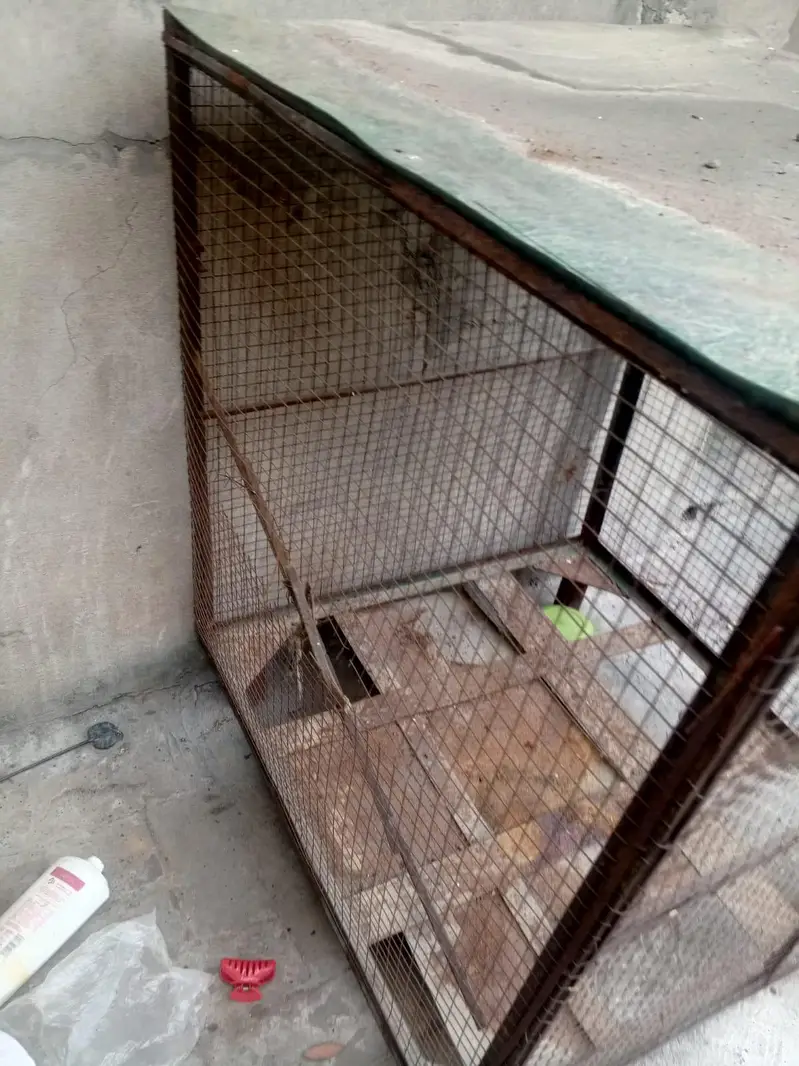 condition apka samny hai only paint kr la new ho jy ga — photo 5