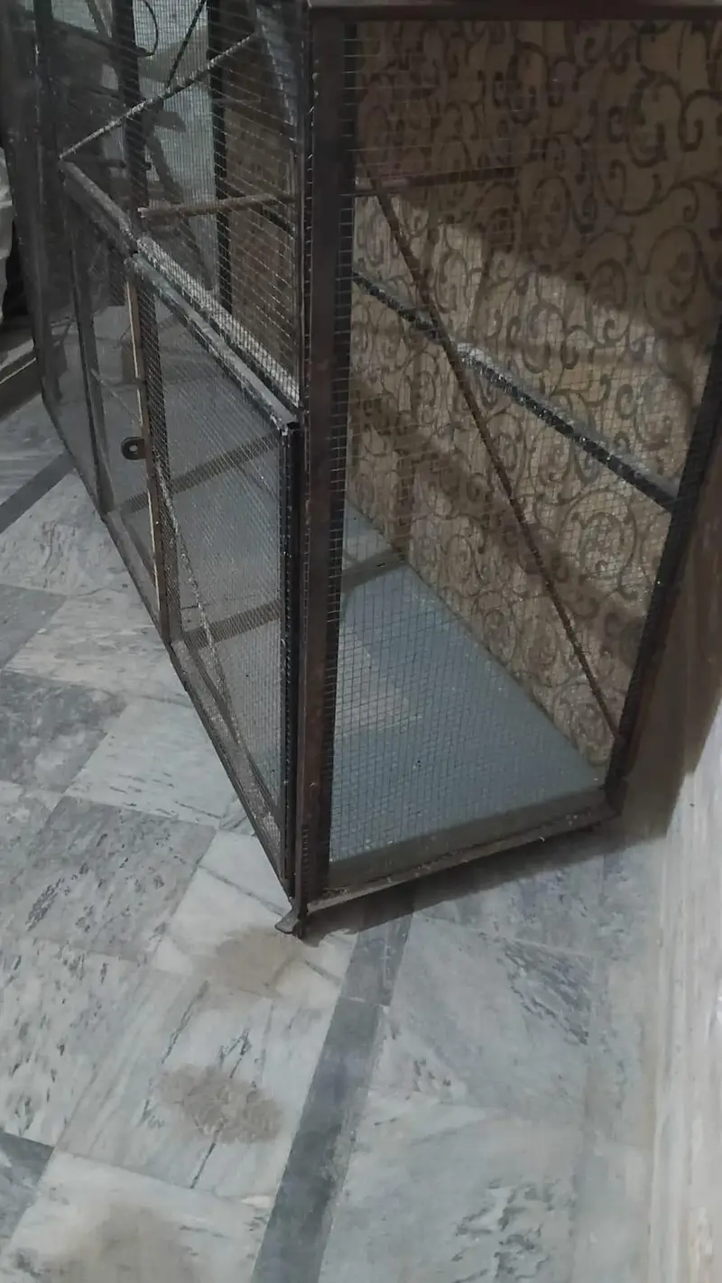 birds cage — photo 2