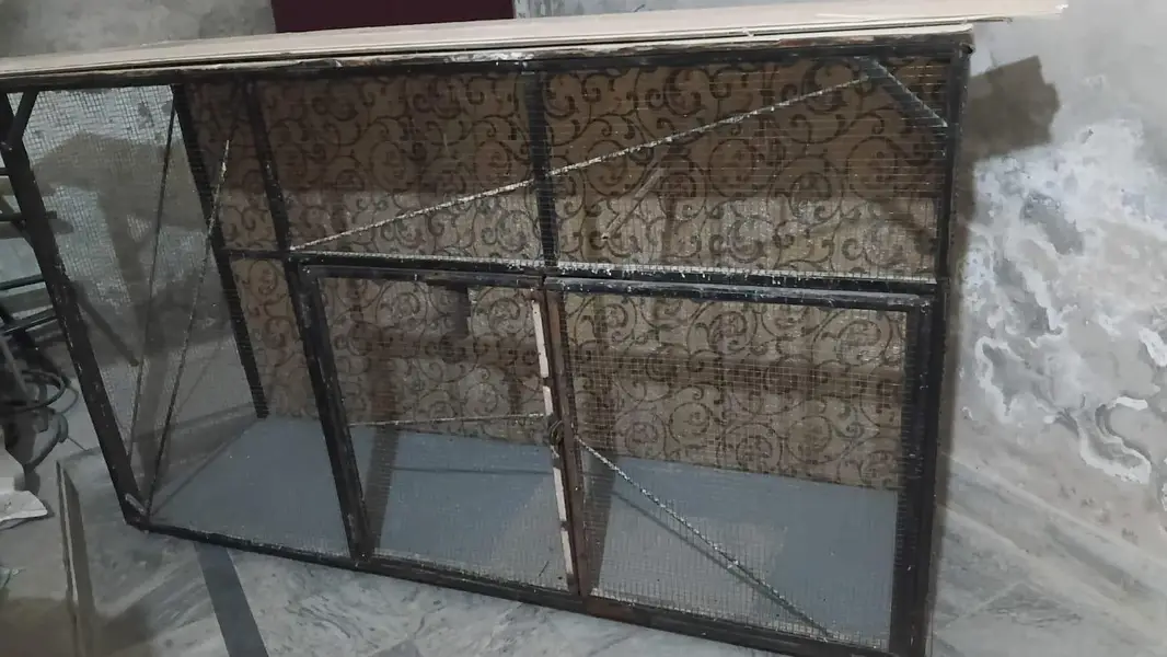 birds cage — photo 3