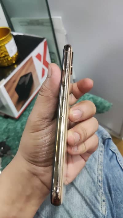 Apple iPhone XS