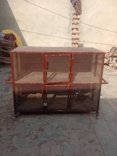 Large Heavy Duty Bird Cage | Spacious Metal Cage | Strong & Durable