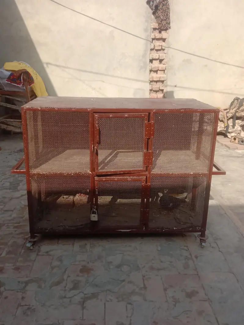 Large Heavy Duty Bird Cage | Spacious Metal Cage | Strong & Durable — photo 2