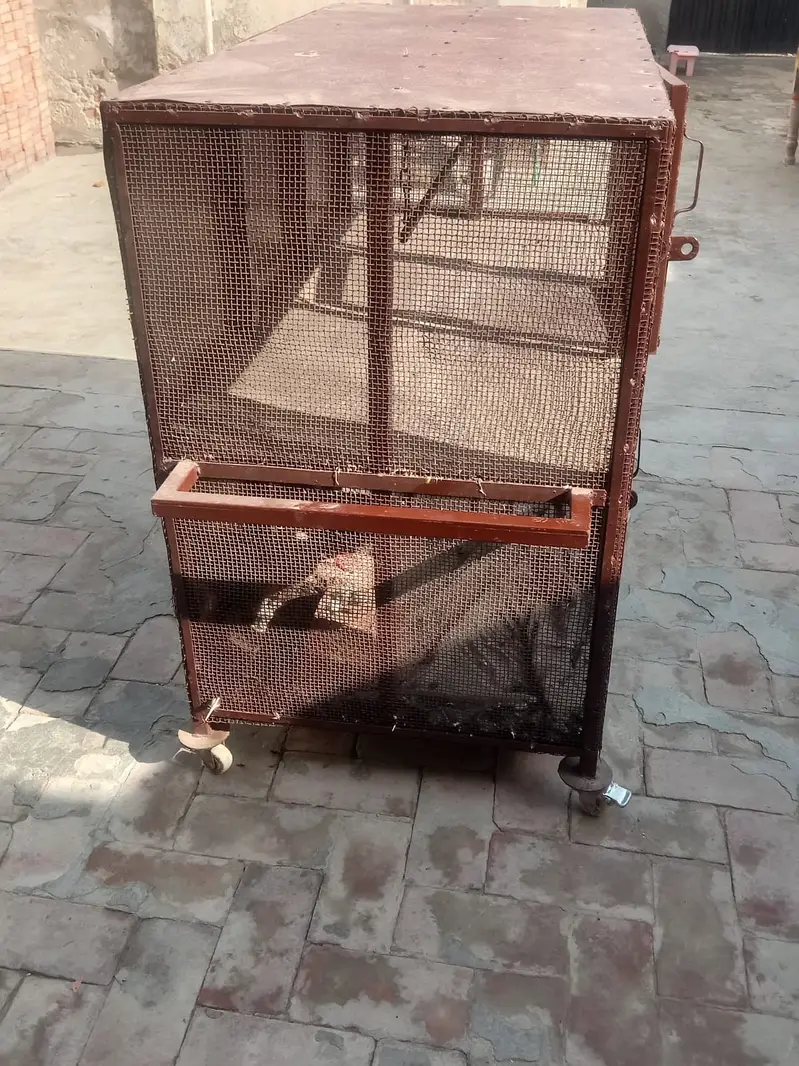 Large Heavy Duty Bird Cage | Spacious Metal Cage | Strong & Durable — photo 3