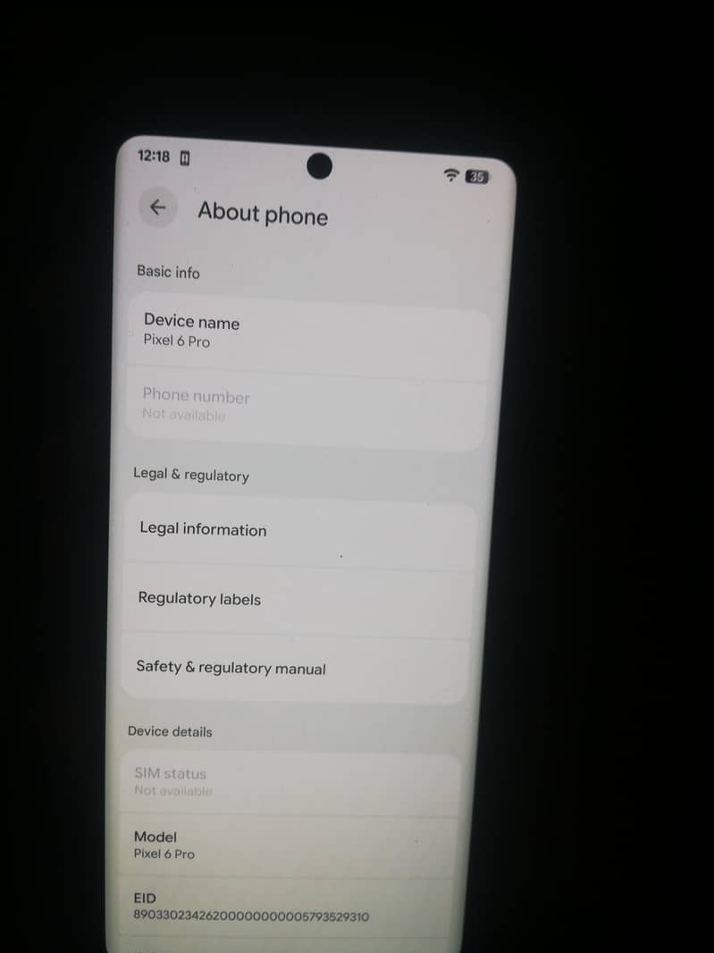 Google Pixel 6 Pro 1