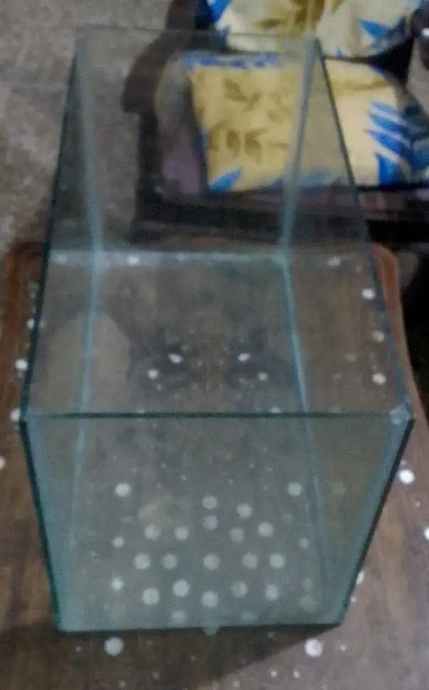 Fish Aquarium / Glass Fish Tank for Sale – 21×11×13.1 Inches — photo 2