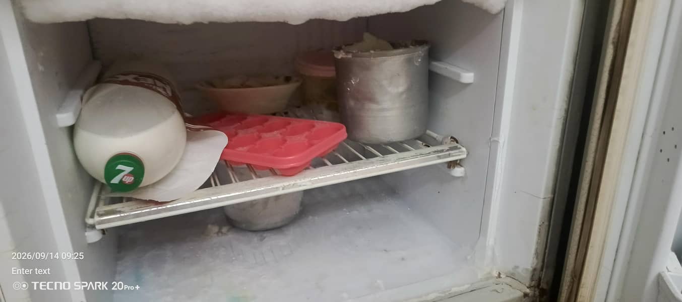 fridge 1