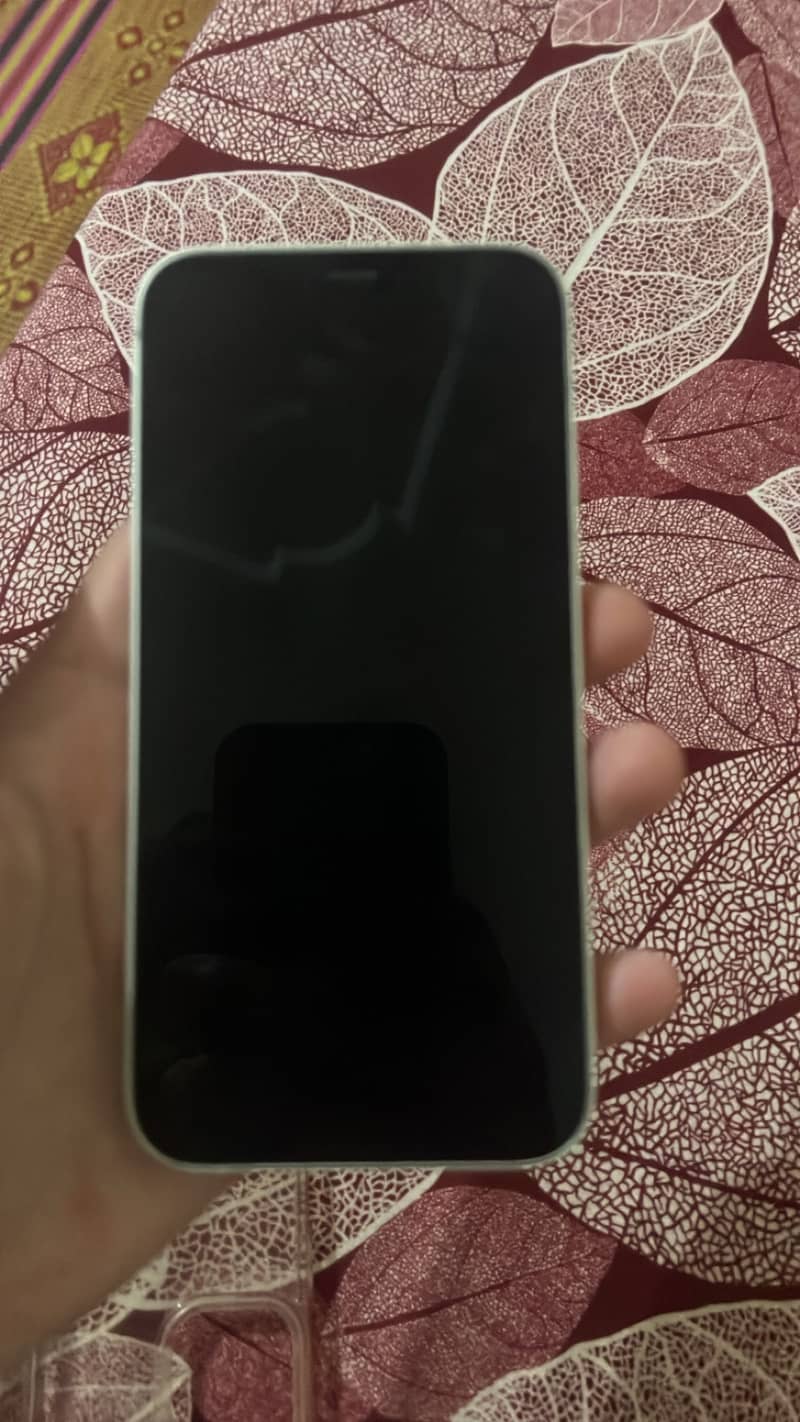 Apple iPhone 12 1