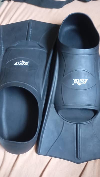 Flippers