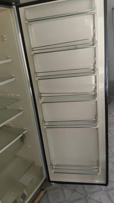 Selling a premium-look, upright refrigerator and deep freezer