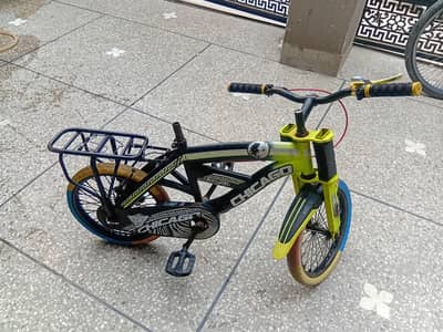 sasti chicago company cycle