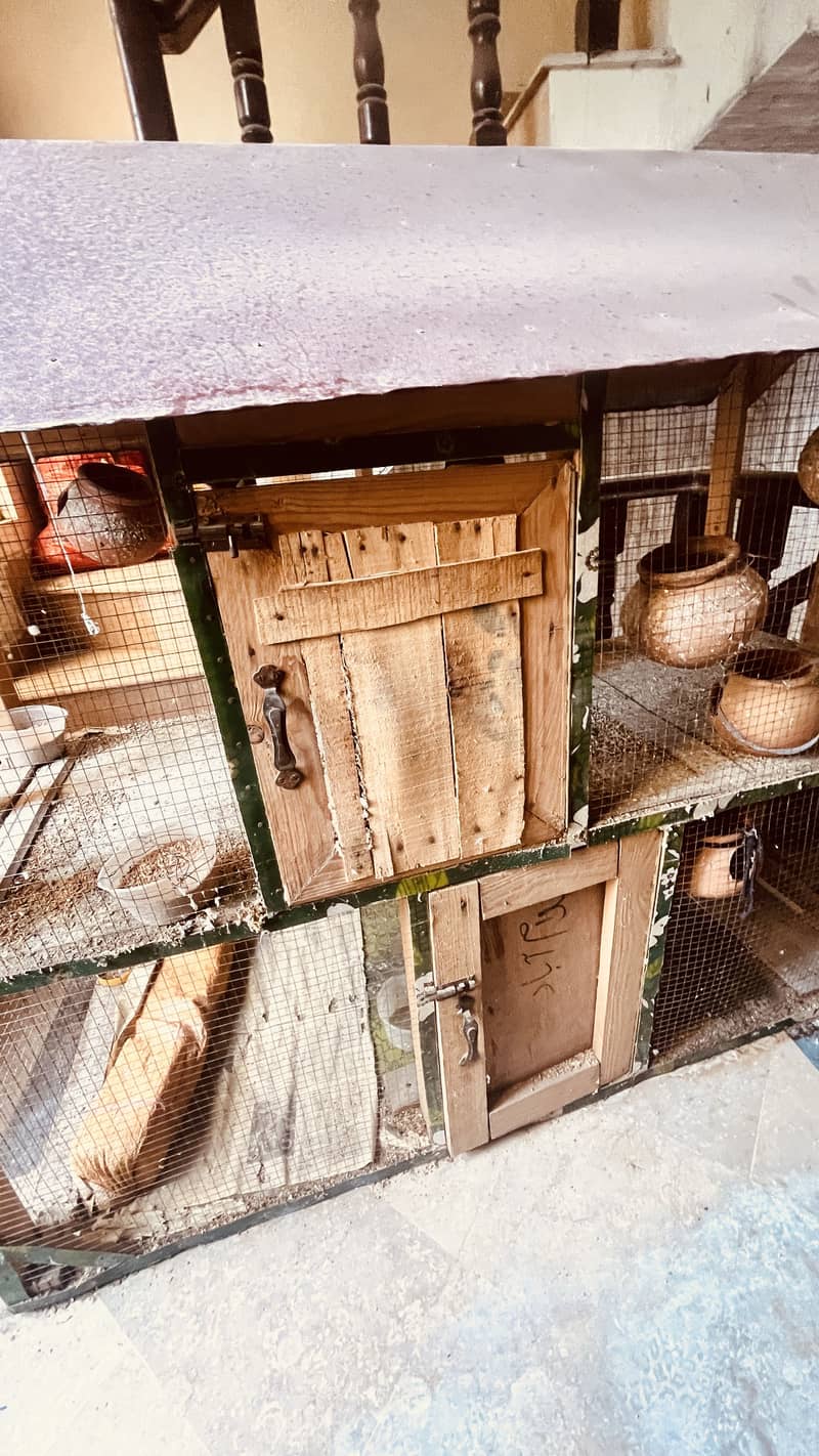 bird cage 0