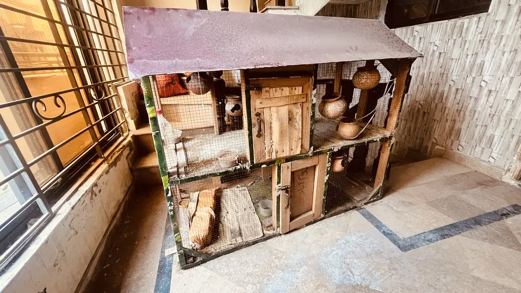 bird cage — photo 4