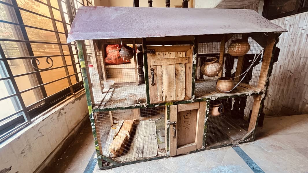 bird cage 4