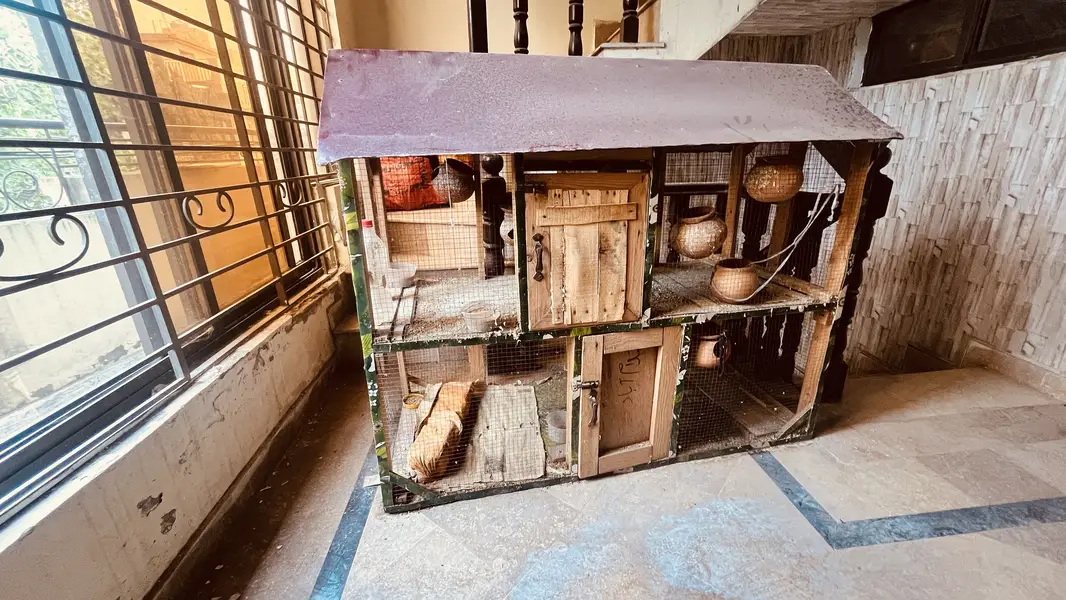 bird cage — photo 6