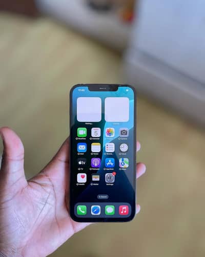 Apple iPhone 12