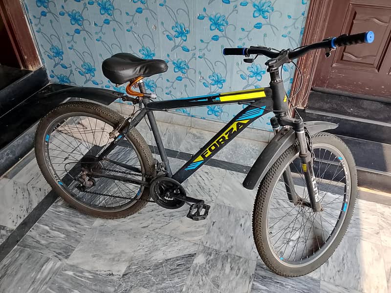 Forza Bicycle 1